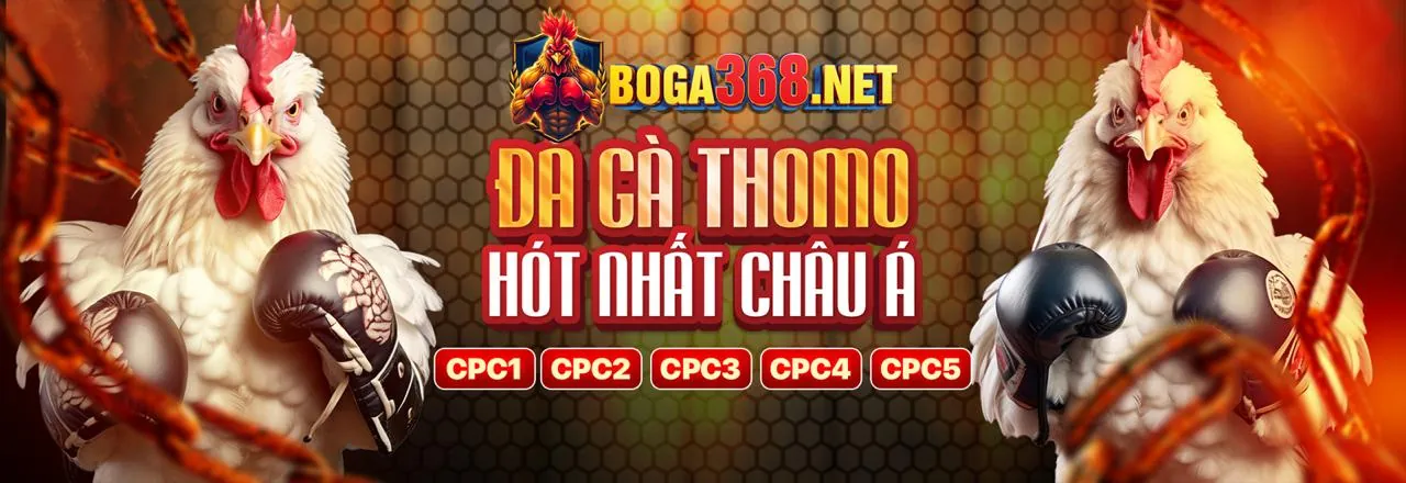 Hỗ trợ khách hàng chuyên nghiệp
