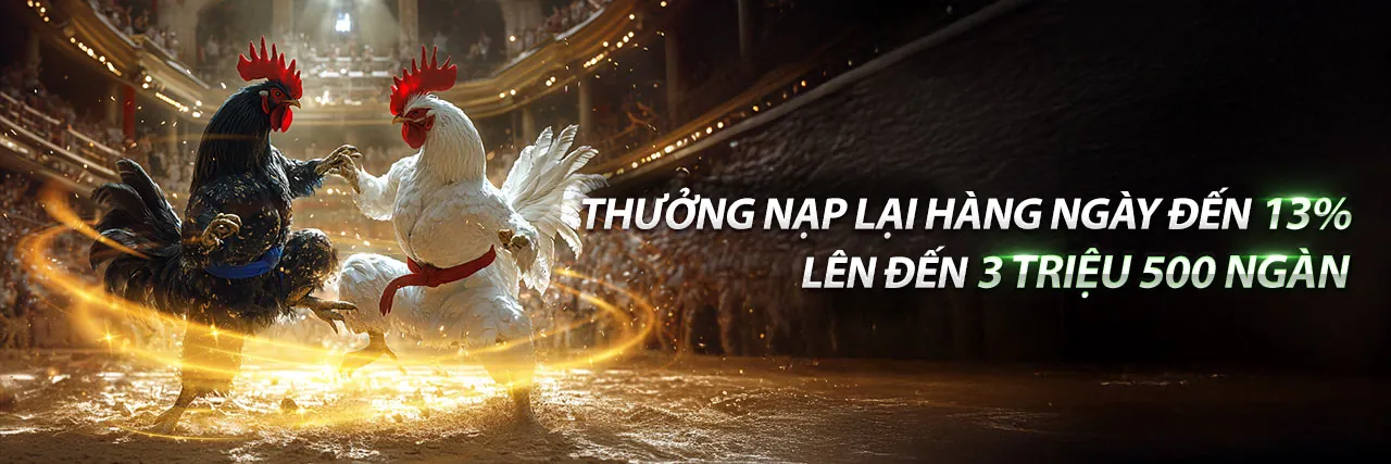 Hình ảnh chính về các khuyến mãi mới nhất của X8BET